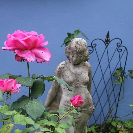 No.31 B&B Im Rosengarten 카펠렌-드루스와일러 외부 사진