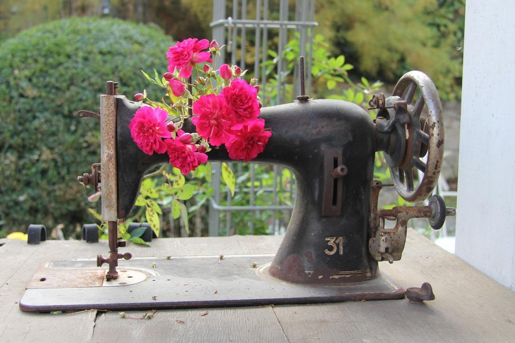 No.31 B&B Im Rosengarten 카펠렌-드루스와일러 외부 사진