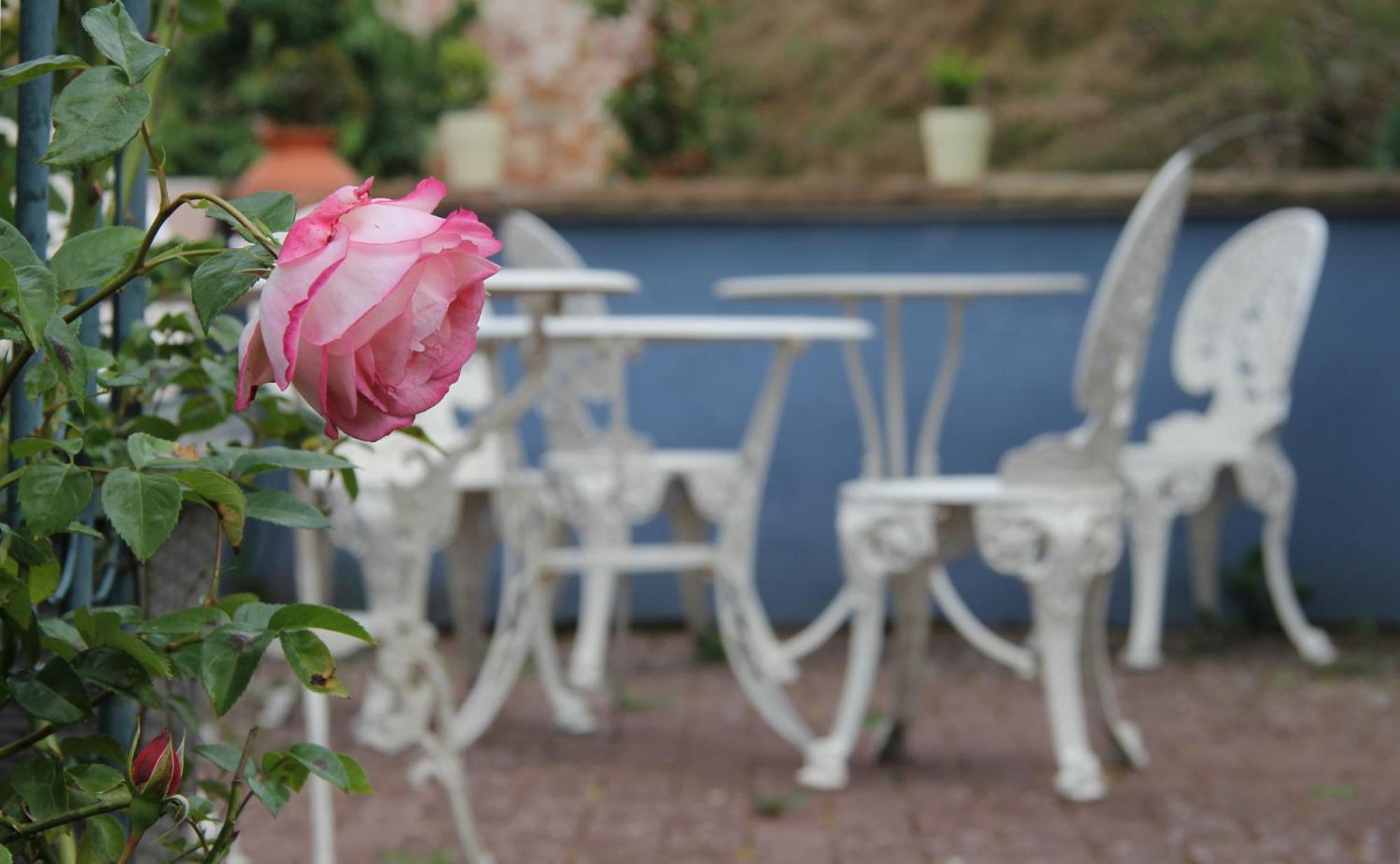 No.31 B&B Im Rosengarten 카펠렌-드루스와일러 외부 사진