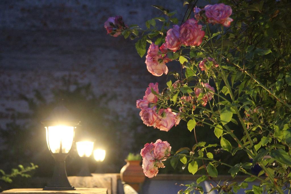 No.31 B&B Im Rosengarten 카펠렌-드루스와일러 외부 사진