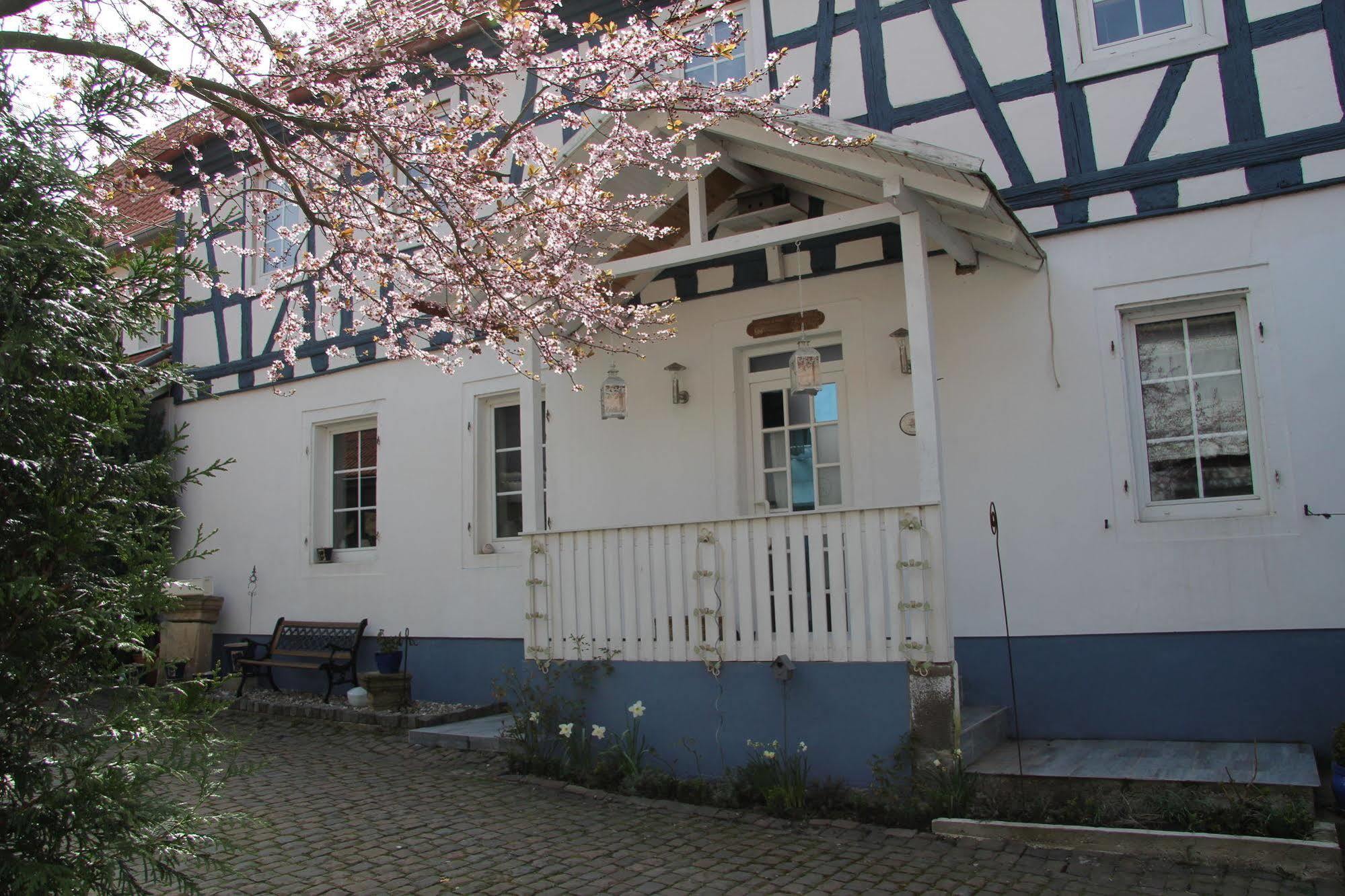 No.31 B&B Im Rosengarten 카펠렌-드루스와일러 외부 사진