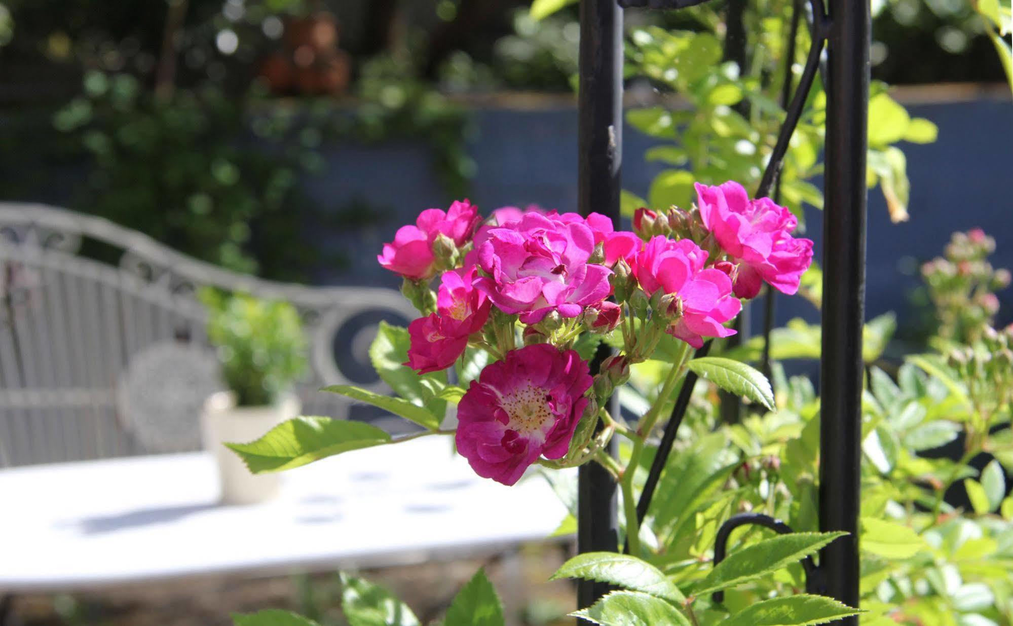 No.31 B&B Im Rosengarten 카펠렌-드루스와일러 외부 사진