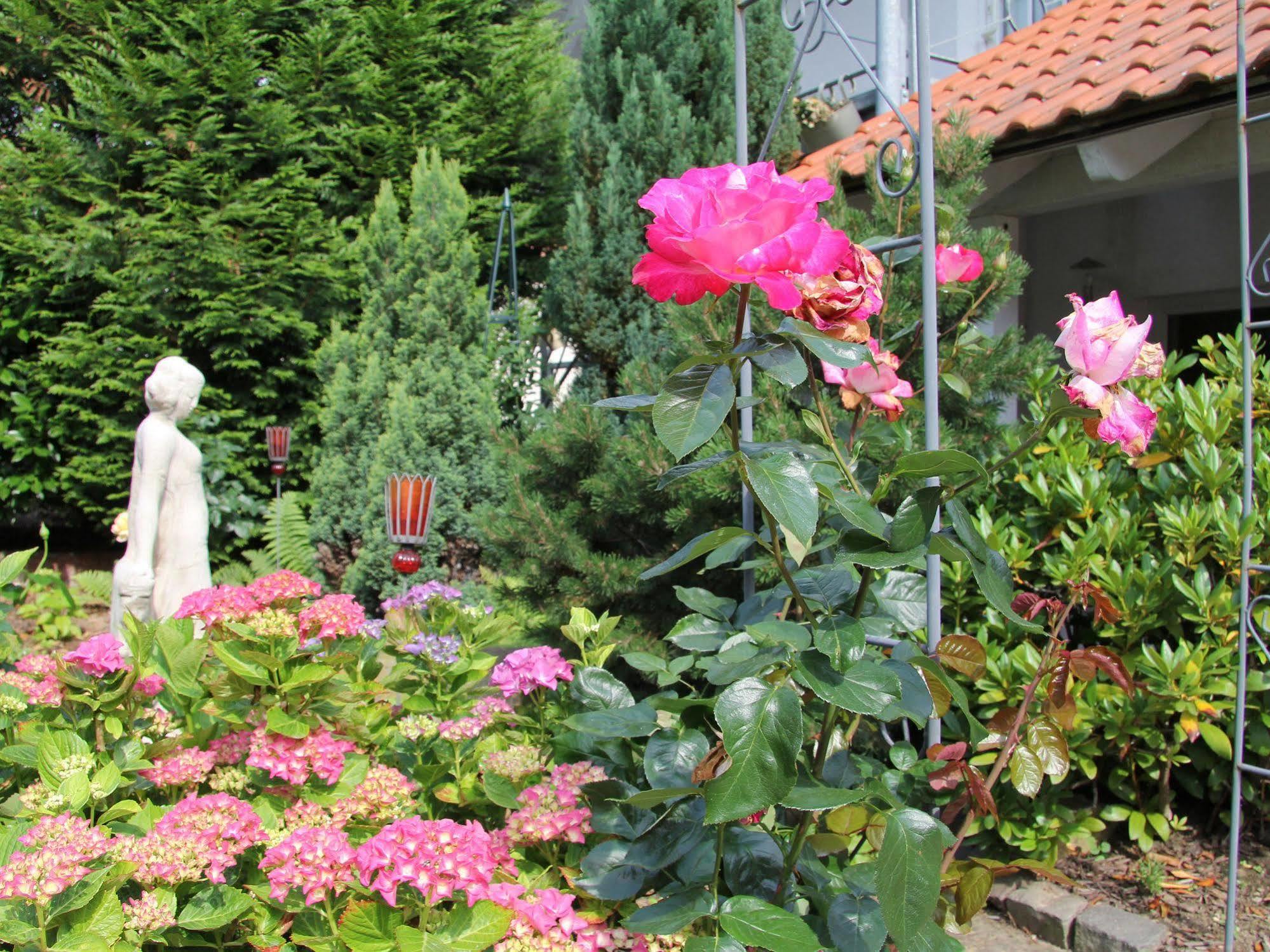 No.31 B&B Im Rosengarten 카펠렌-드루스와일러 외부 사진
