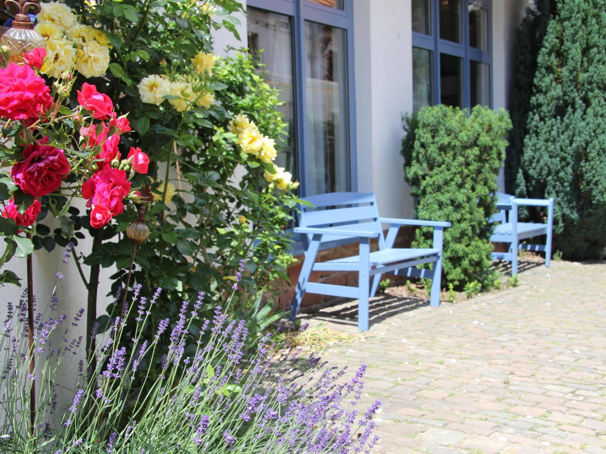 No.31 B&B Im Rosengarten 카펠렌-드루스와일러 외부 사진